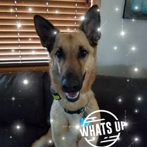 Meet your Posher, Sean